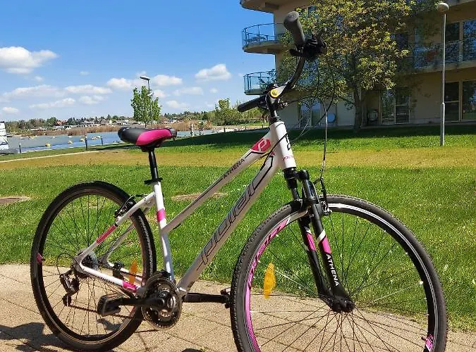 Bike &